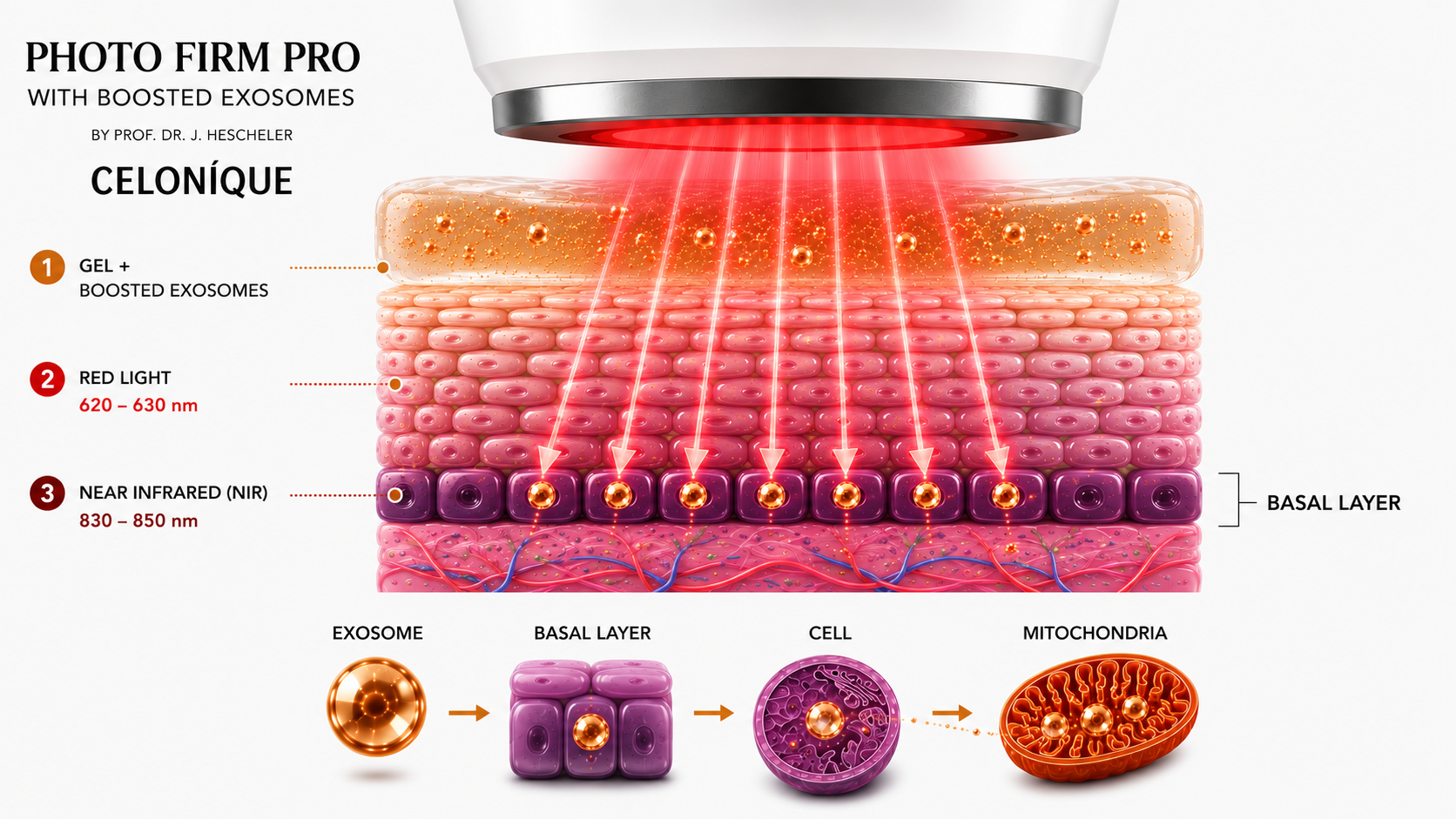 PHOTO FIRM PRO™ <br> NIR & Red Light Therapy Devices